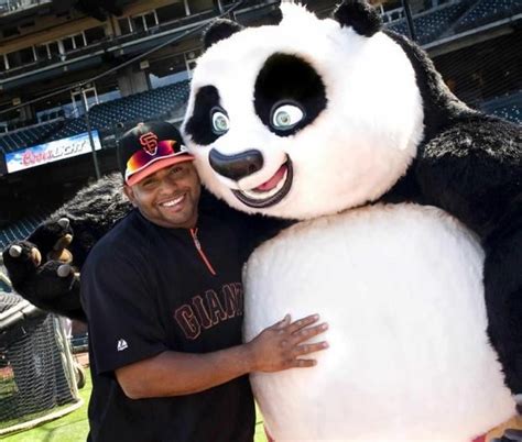 kung fu panda baseball player
